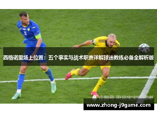 西格诺里场上位置：五个事实与战术职责详解球迷教练必备全解析版
