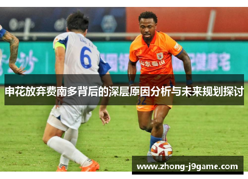 申花放弃费南多背后的深层原因分析与未来规划探讨